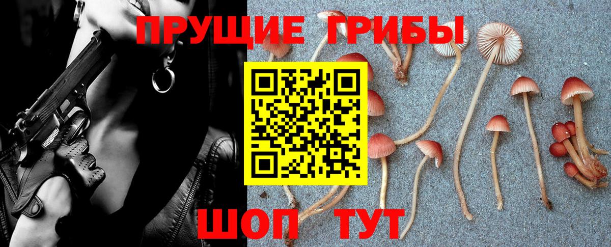 Галлюциногенные грибы мицелий  Вход с VPN  магазин продажи   Барабинск  Галлюциногенные грибы прущие грибы 
